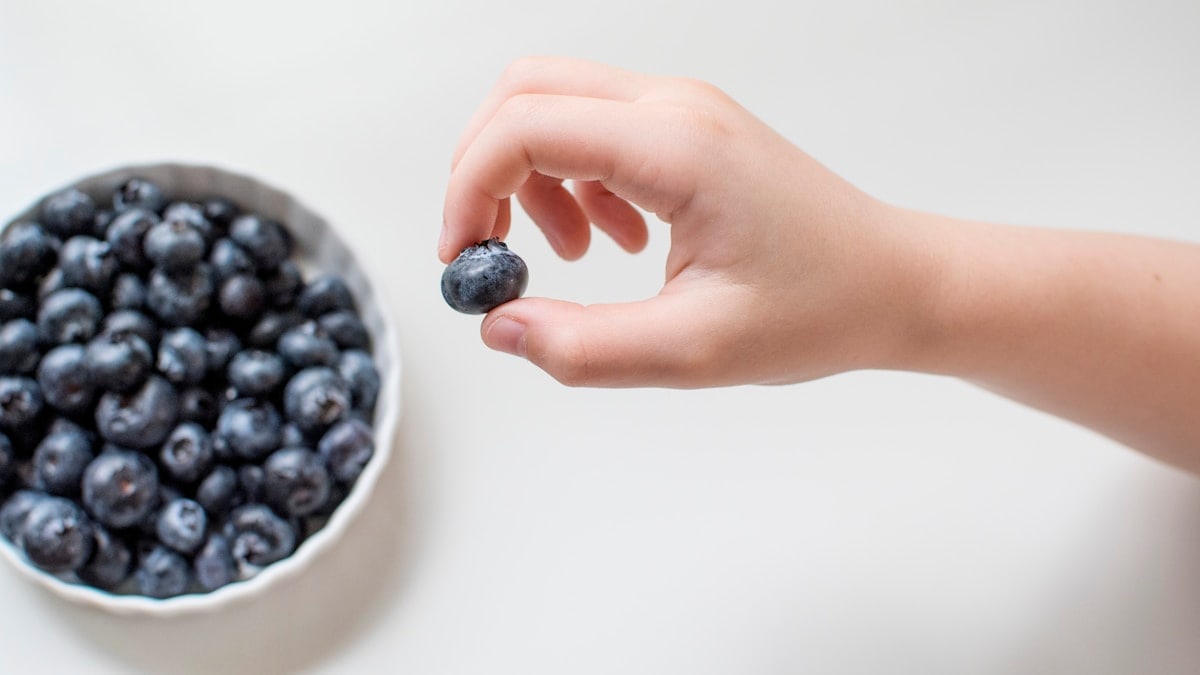 Fresh Organic Blueberries